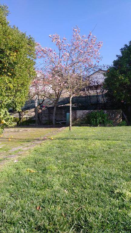 Casa Das Vendas Exteriér fotografie